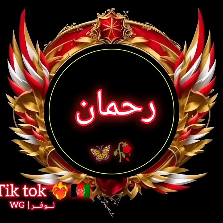 rk____511