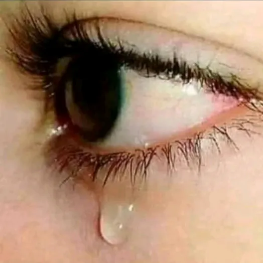 naziababer02
