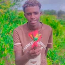 @qullfiijalala1