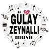 gulayzeynallimusic