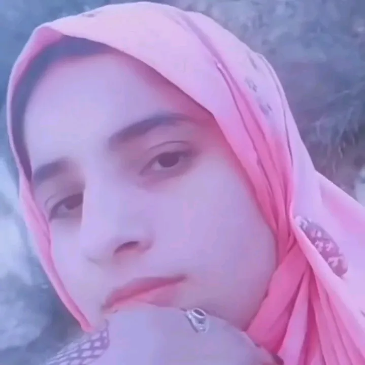 @kashmirgirl950