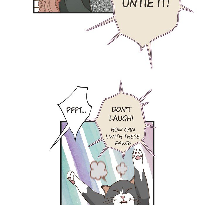 Survival Marriage - episode 31 - 42