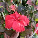 @maruthupandiyan3058531