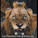 @asercv3
