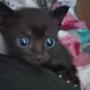 @laura1w3w4w
