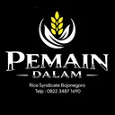 @pemain_dalam