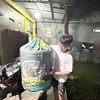 bayot_pambudi17