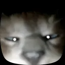 @textorojo1037
