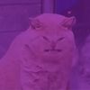the..negative..energy