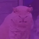 @the..negative..energy