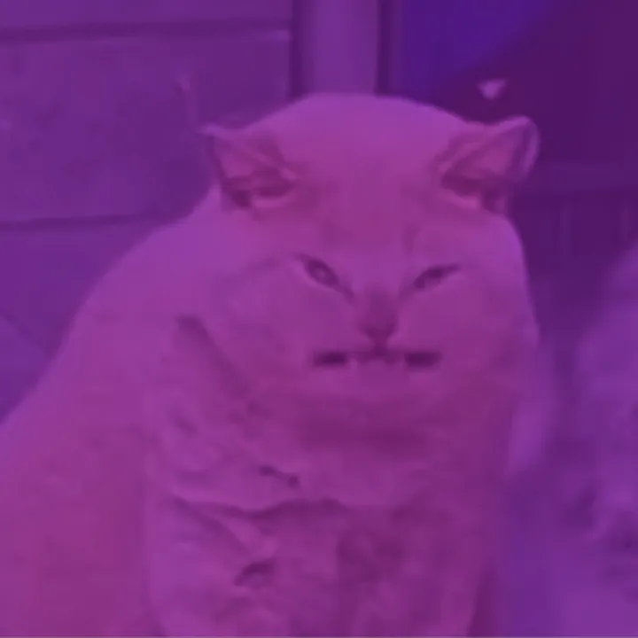 the..negative..energy
