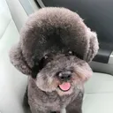 @qutan111