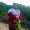 bishnugaha91