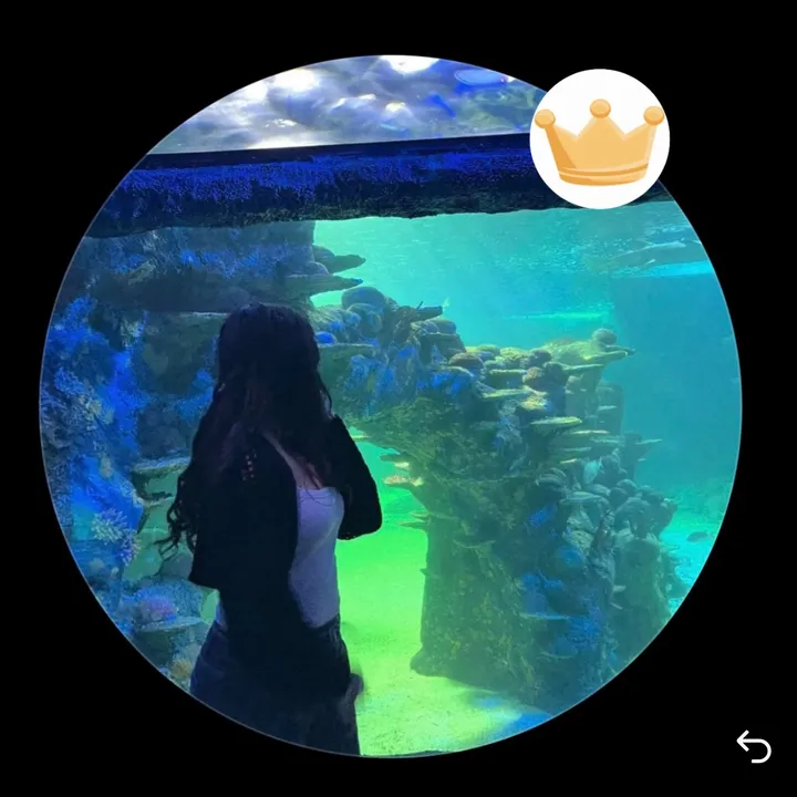 @secrettc4mmy