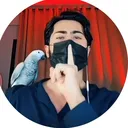 @prismstreaming