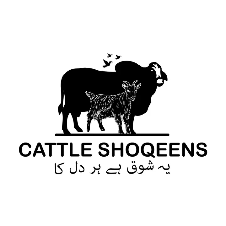 cattleshoqeens