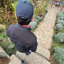 @adiev.4