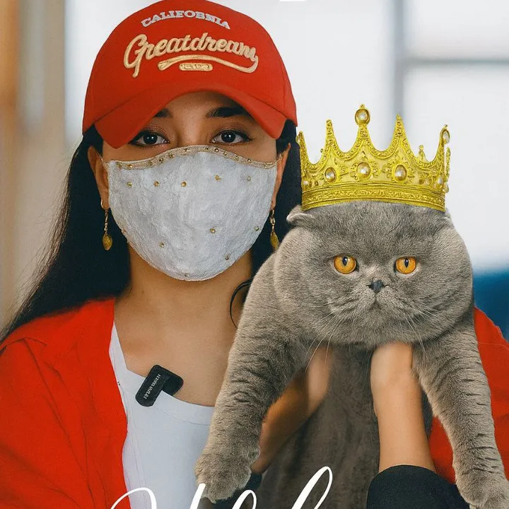 kittens_uz