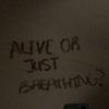 pain.hub_xo0