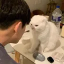 @nickhun1999