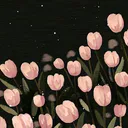 @hanifa.12