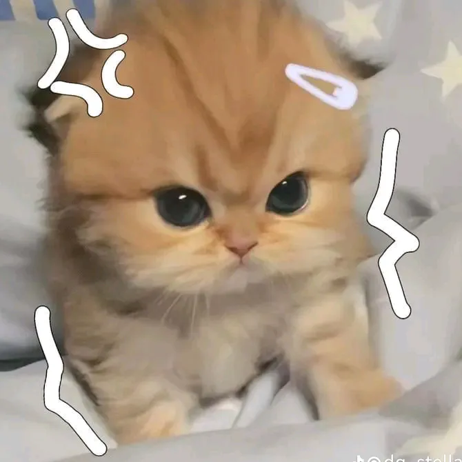 @ghechly1