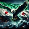 hamza85224