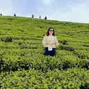 @mandira122