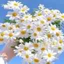 @wwwnadezhda