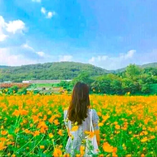 @sujatadulal53