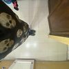 justinmarisal14