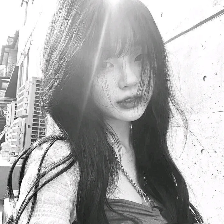 echaa_open_all