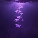 @jeean06_x