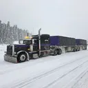 @purplehazebtrain