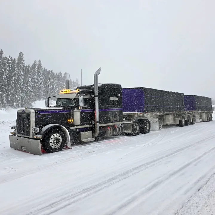purplehazebtrain