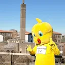 @cilgincivciv21