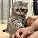 @thanhbutter205