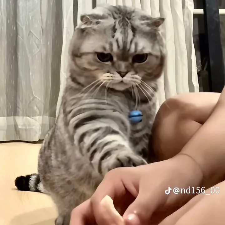 thanhbutter205