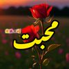 shahid_vains786