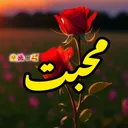 @shahid_vains786