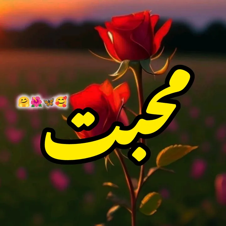 shahid_vains786