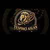 aziz.aslann21