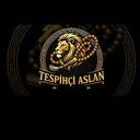 @aziz.aslann21