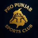 @pro.punjab.sports
