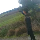 @omarwalid8010