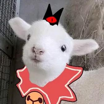 @l.s.h.1.1