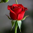 @bwsntwedzbm0000021