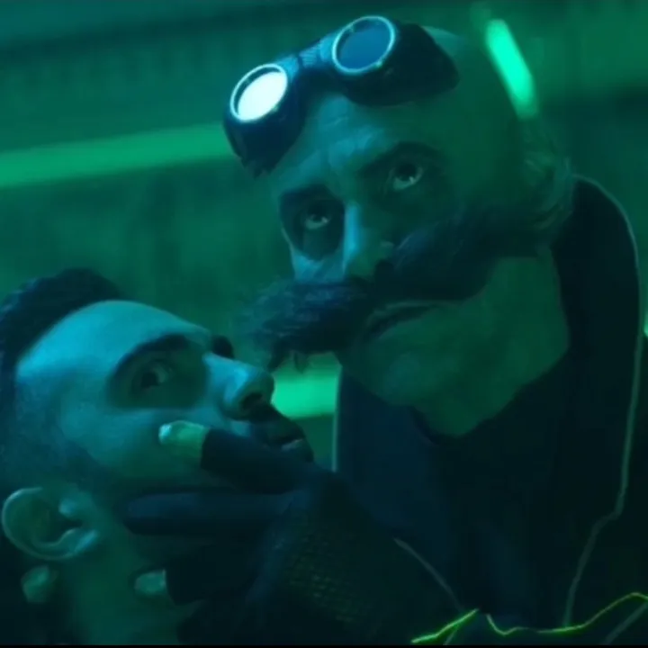 gaybotnik