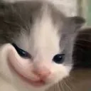@bomatz96