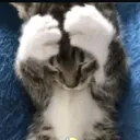 @wuang0412